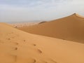 Foot prints on Sahara desert dunes in Marocco Royalty Free Stock Photo