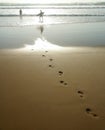 Foot Prints In The Sand Royalty Free Stock Photo