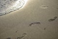 Foot prints in the sand on the beach Royalty Free Stock Photo