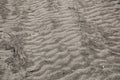 Foot Prints in Sand on a Beach Royalty Free Stock Photo