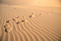 Foot prints on sand dune. Royalty Free Stock Photo