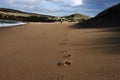 Foot prints in the sand Royalty Free Stock Photo