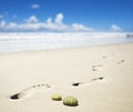 Foot prints on a sandy beach