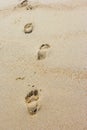 Foot prints on a sandy beach Royalty Free Stock Photo