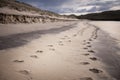 Foot prints on the sandy beach Royalty Free Stock Photo