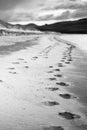 Foot prints on the sandy beach Royalty Free Stock Photo