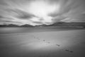 Foot prints on the sandy beach Royalty Free Stock Photo