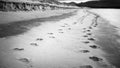 Foot prints on the sandy beach