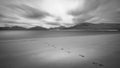 Foot prints on the sandy beach Royalty Free Stock Photo