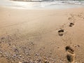 Foot prints on the sandy beach in summer Royalty Free Stock Photo