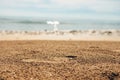 Foot prints on a sandy beach. Beach travel, vocation concept Royalty Free Stock Photo