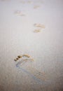 Foot prints on sandy beach. Royalty Free Stock Photo