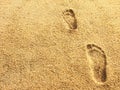 Foot prints on sea beach sand Royalty Free Stock Photo