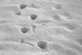Foot prints on white snow with blur effect in black and white