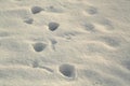 Foot prints on white snow with blur effect