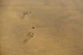 Foot prints on a yellow ocean sand