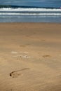 Foot prints on a yellow ocean sand