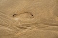 Foot prints on a yellow ocean sand of human feet