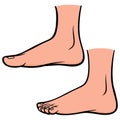 Foot Profiles