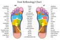 Foot reflexology chart description Royalty Free Stock Photo