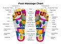 Foot reflexology chart with description of the internal organs and body parts. Vector illustration . anatomy Royalty Free Stock Photo