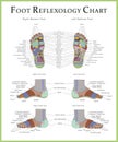 Foot reflexology chart map medicine Royalty Free Stock Photo