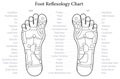 Foot Reflexology Chart Outline