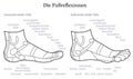 Foot Reflexology Side Profile View Description German