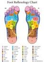 Foot Reflexology Table Royalty Free Stock Photo