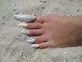 Foot on sand with shell nails Royalty Free Stock Photo