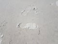 Foot or shoe print or impression in wet sand Royalty Free Stock Photo