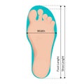 Foot size measurements vector illustration design. Royalty Free Stock Photo