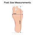 Foot size measurements vector illustration design Royalty Free Stock Photo