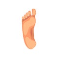 Foot sole, male body part vector Illustration on a white background Royalty Free Stock Photo