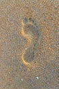 Foot step on beach sand Royalty Free Stock Photo