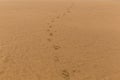 Foot step on sand beach Royalty Free Stock Photo