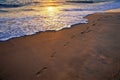 Foot steps on beach Bhogwe, Kudal, Maharashtra, India Royalty Free Stock Photo