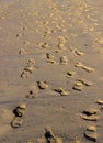 Foot steps on beach in sunrise