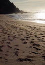 Foot steps on beach in sunrise