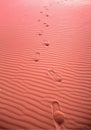 Foot steps in desert with sand drifts Royalty Free Stock Photo