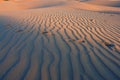 Foot steps at the desert