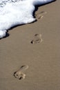 Foot Steps in the Sand Royalty Free Stock Photo