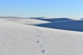 Foot steps on the Sand Dune in White Sand National Monument Royalty Free Stock Photo