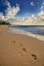 Foot Steps in the Sand Royalty Free Stock Photo