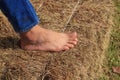 Foot is stomping haystack Royalty Free Stock Photo
