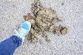 Foot about to crush cow poop on the road Royalty Free Stock Photo