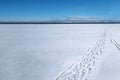 Foot track and sledge trace on frozen lake