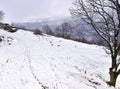 Foot tracks on snow covered land, bare tree and tractor. Winter landscape Royalty Free Stock Photo