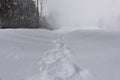 Foot Tracks in Snow on Path