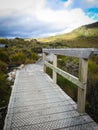 Footpath at Cradle Mountain, Tasmania. Taken during one of summer days in Australia Royalty Free Stock Photo